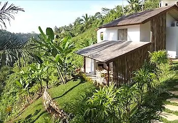 Zenubud *