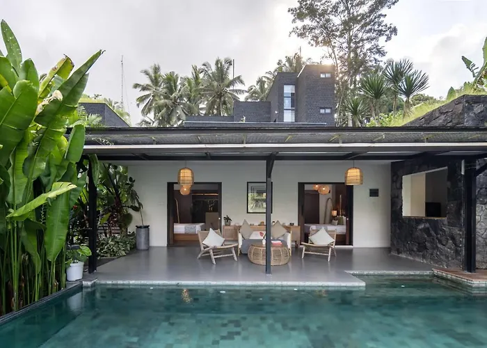 Zenubud Вилла