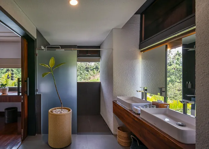 Zenubud *